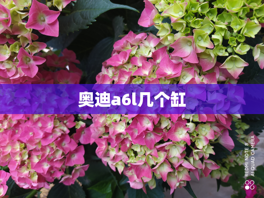 奥迪a6l几个缸
