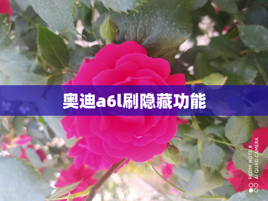 奥迪a6l刷隐藏功能
