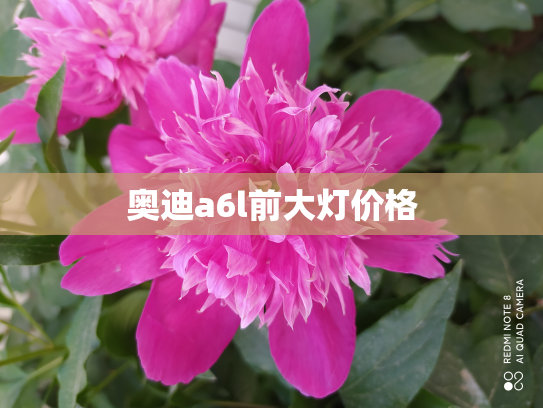 奥迪a6l前大灯价格