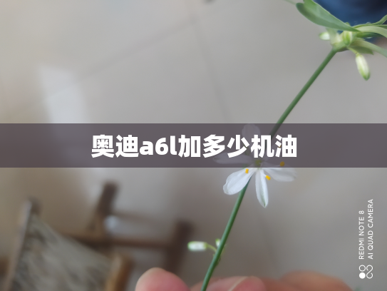 奥迪a6l加多少机油