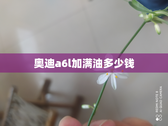 奥迪a6l加满油多少钱