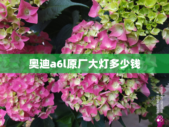 奥迪a6l原厂大灯多少钱
