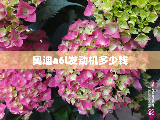 奥迪a6l发动机多少钱