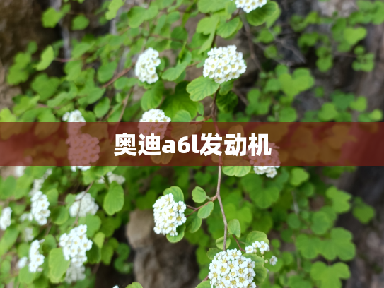 奥迪a6l发动机