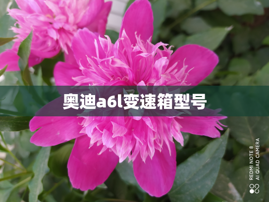 奥迪a6l变速箱型号