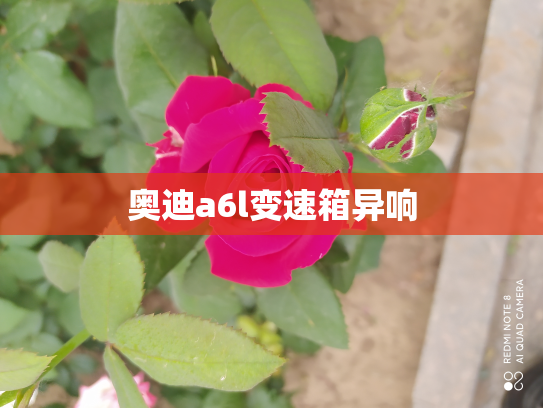 奥迪a6l变速箱异响