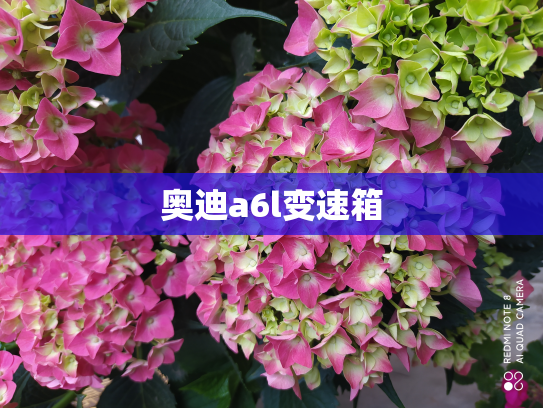 奥迪a6l变速箱