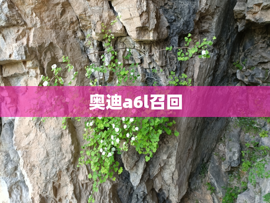 奥迪a6l召回