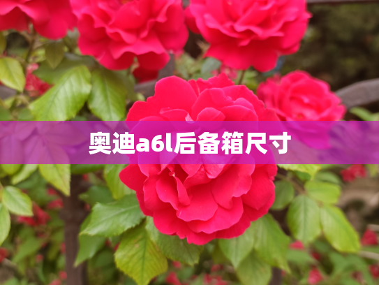 奥迪a6l后备箱尺寸