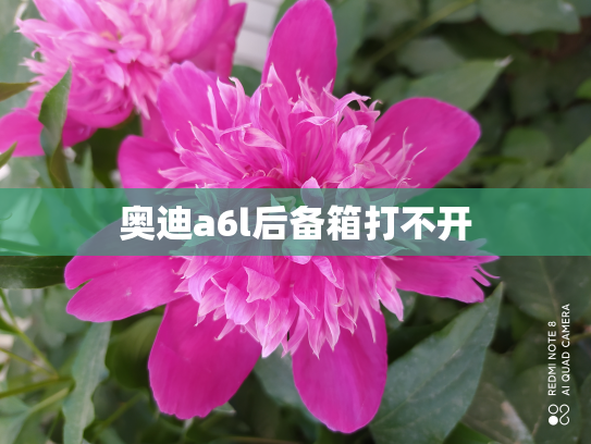 奥迪a6l后备箱打不开