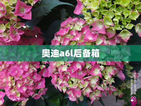 奥迪a6l后备箱