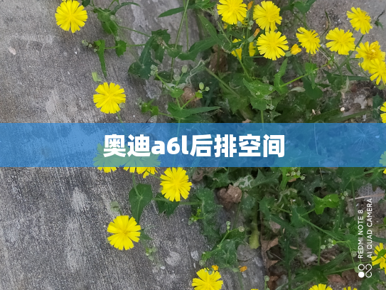 奥迪a6l后排空间