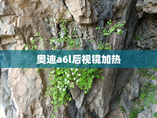 奥迪a6l后视镜加热