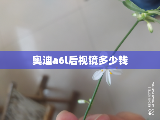 奥迪a6l后视镜多少钱