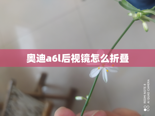奥迪a6l后视镜怎么折叠