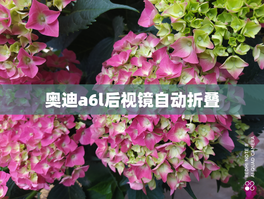 奥迪a6l后视镜自动折叠