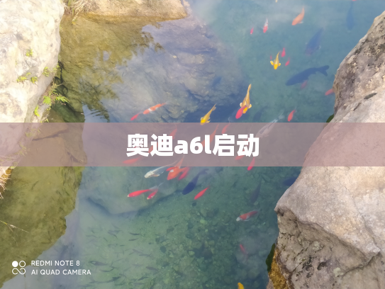 奥迪a6l启动