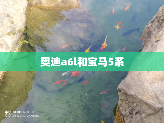奥迪a6l和宝马5系