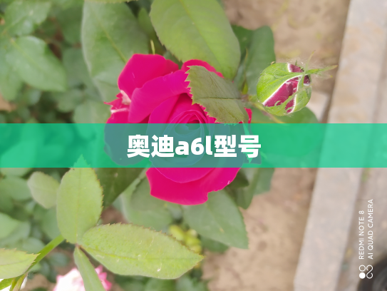 奥迪a6l型号