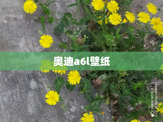 奥迪a6l壁纸
