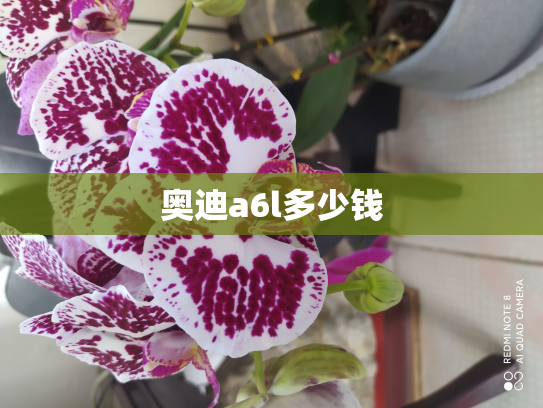 奥迪a6l多少钱