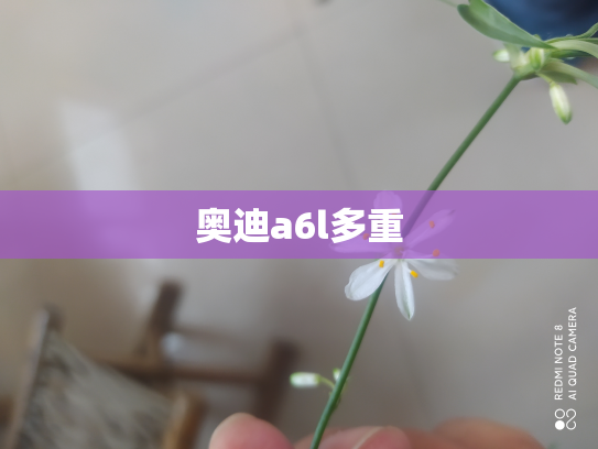 奥迪a6l多重
