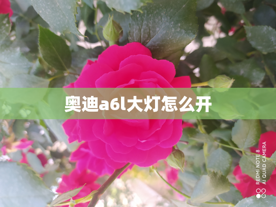 奥迪a6l大灯怎么开