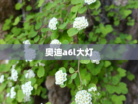 奥迪a6l大灯