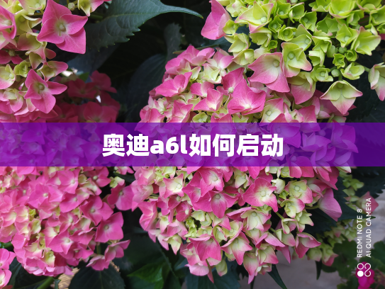 奥迪a6l如何启动