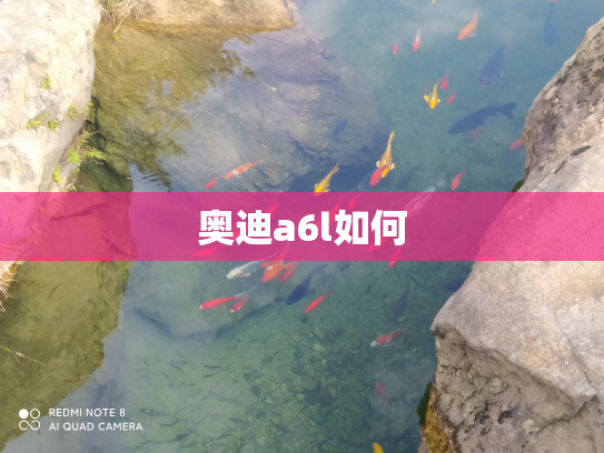 奥迪a6l如何
