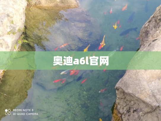 奥迪a6l官网