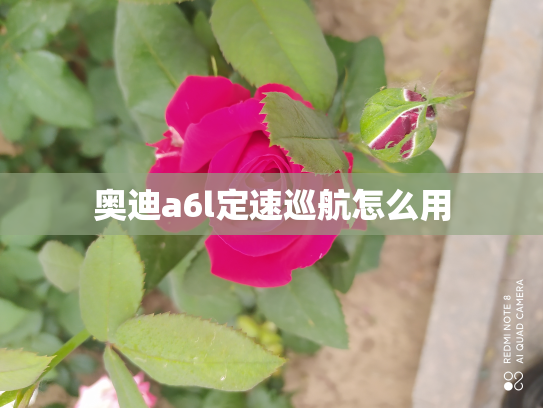 奥迪a6l定速巡航怎么用