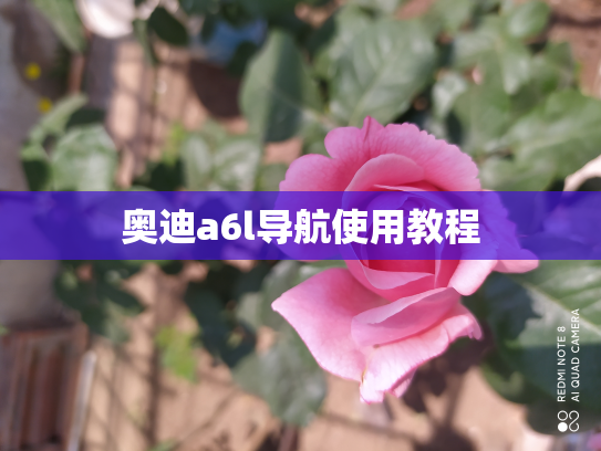 奥迪a6l导航使用教程