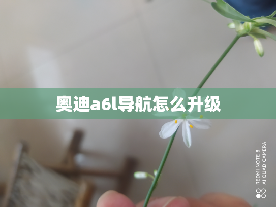 奥迪a6l导航怎么升级