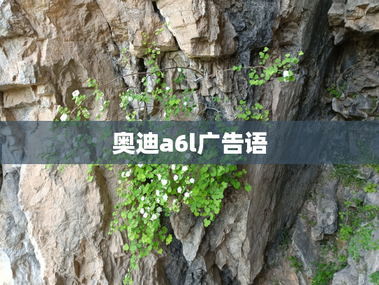 奥迪a6l广告语