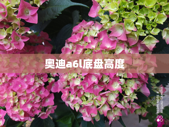 奥迪a6l底盘高度