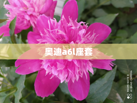 奥迪a6l座套