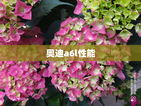 奥迪a6l性能