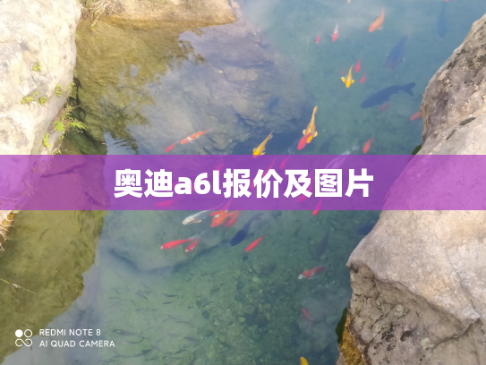 奥迪a6l报价及图片