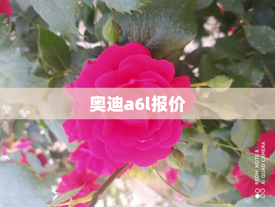 奥迪a6l报价