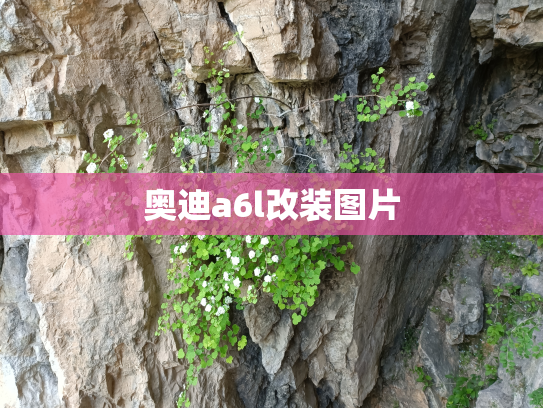 奥迪a6l改装图片