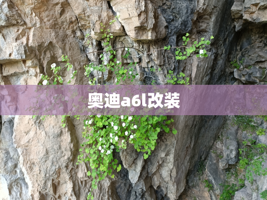奥迪a6l改装