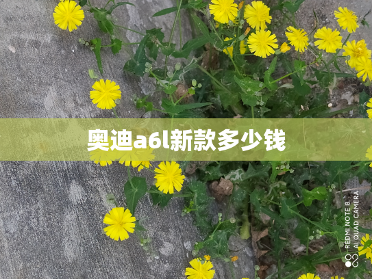 奥迪a6l新款多少钱
