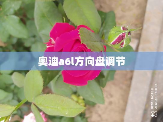 奥迪a6l方向盘调节