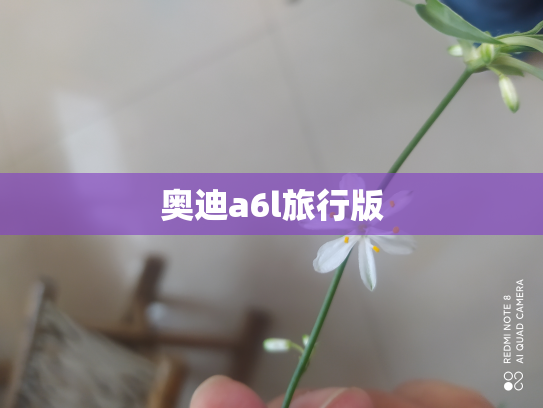 奥迪a6l旅行版