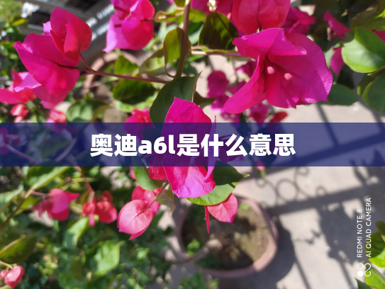 奥迪a6l是什么意思