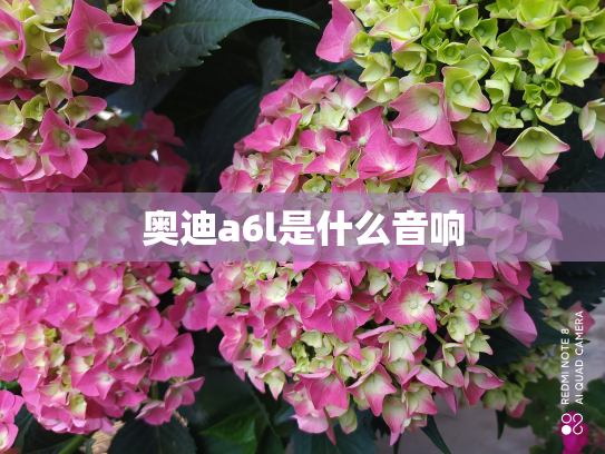 奥迪a6l是什么音响