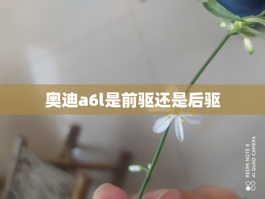 奥迪a6l是前驱还是后驱