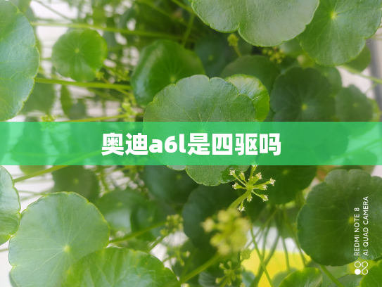 奥迪a6l是四驱吗