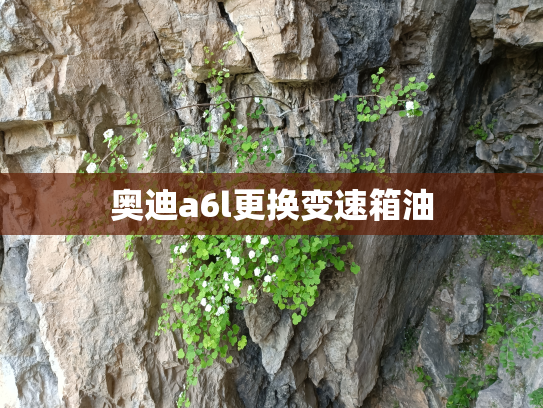 奥迪a6l更换变速箱油